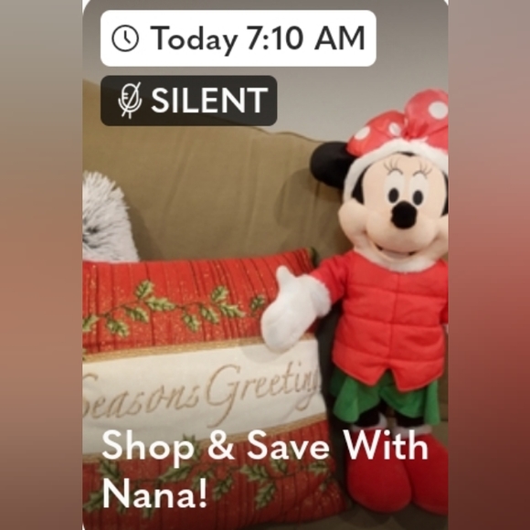 SHOP & SAVE FOR HOLIDAYS WITH NANA! - Picture 7 of 11